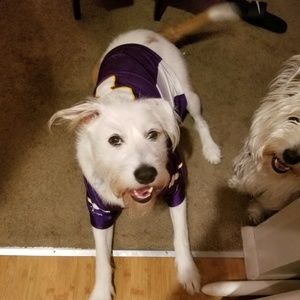 Meet your Posher, Alyson